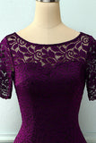 Vestido de Renda Bodycon em Uva