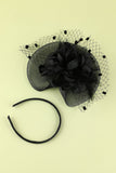 Faixa De Cabeça Com Cercadura De Pena Preta Dos Anos 1920