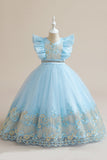 Vestido azul da menina de tule da linha com bordado
