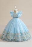 Vestido azul da menina de tule da linha com bordado