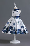 A Line Pescoço Redondo Azul Estampado Vestido de Menina