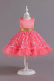 A Line Rosa Vestido de Menina Com Apliques