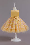 A Line Rosa Vestido de Menina Com Apliques