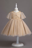 A Line Fora do Ombro Borgonha Vestido de Menina Tule