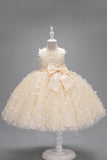 Champanhe Tule Vestido de Menina Com Arco