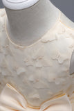 Champanhe Tule Vestido de Menina Com Arco