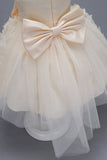 Champanhe Tule Vestido de Menina Com Arco