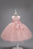 Champanhe Tule Vestido de Menina Com Arco