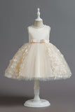 Champanhe A Line Tule Sem Mangas Vestido de Menina Com Arco
