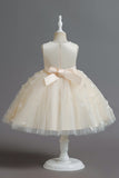 Champanhe A Line Tule Sem Mangas Vestido de Menina Com Arco