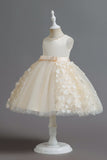 Champanhe A Line Tule Sem Mangas Vestido de Menina Com Arco