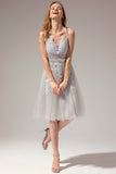 Vestido de renda prateado