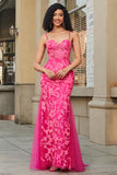 Sereia Fuchsia Vestido Longo Baile com Apliques