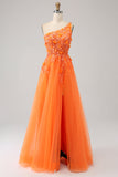 Laranja Um Ombro A-Line Tulle Long Prom Dress com Appliques