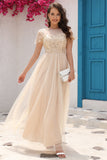 A Line Tule Damasco Vestido de Festa com Apliques