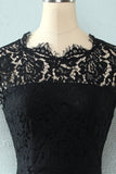 Vestido de renda de bodycon preto