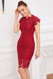 Vestido de renda de bodycon vermelho