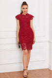 Vestido de renda de bodycon vermelho