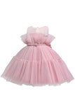 Vestido azul A-line Tulle Flower Girl com laço