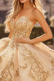 Champagne Strapless Appliqued Tule Quinceanera Vestido