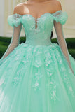 Princesa hortelã fora do ombro tule aplicado vestido quinceanera