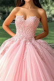 Rosa Ball Gown Strapless Appliqued Long Quinceanera Dress