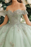 Dusty Sage Off The Shoulder Lace Appliqued Tulle Quinceanera Vestido