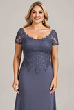 Pescoço Redondo Crepúsculo Chiffon Tamanhos Grandes Vestido Mae Noiva com Renda