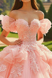 Rosa Tule Ball Gown Princess Long Quinceanera Vestido com Folhos