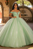 Glitter Luz Tule Verde Vestido de Bola Vestido Longo Quinceanera com Apliques