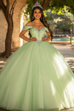 Glitter Verde Luz Vestido de Bola Longo Tule Quinceanera Vestido com Apliques