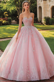 Rosa Princesa Long Tulle Quinceanera Vestido com Renda