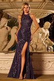 Vestido de Baile Longo com Lantejoulas e Sereia de Caster com Cabeçada Brilhante