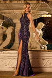 Vestido de Baile Longo com Lantejoulas e Sereia de Caster com Cabeçada Brilhante