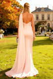 Vestido formal de sereia rosa com um ombro franzido e serpentina lateral