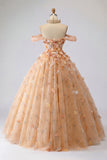 Vestido de baile champanhe ombro descoberto Vestido Princesa Quinceañera