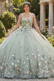 Vestido Quinceañera com decote quadrado floral de sálvia empoeirada