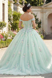 Vestido de Baile Verde Ombro Descoberto Vestido Quinceañera com Flores 3D