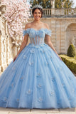 Vestido de baile ombro descoberto, corset azul pérolas Quinceañera com flores 3D