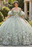 Vestido de baile verde sálvia Flores 3D Princesa Quinceañera com mangas bufantes