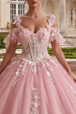 Vestido de baile cor-de-rosa aplicado, de ombro frio, Vestido de Quinceañera