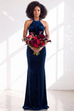 22d945c73484a438f98ed57ba6503701