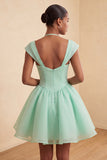 Vestido Curto de Regresso a Casa Verde Verde Mint, Linha em A, com um simples abotoamento e mangas curtas