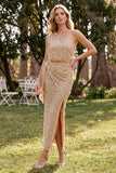 Champanhe Vestido de Convidado de Noiva Com Faixa de Sobrances com Um Ombro