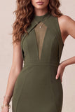 Sereia Oliva Vestido Formal Midi de gola alta e tule baixo