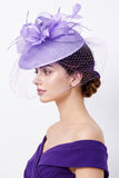 Lilás de Crinolina Lilás Rede de Gaiola de Pássaros Chapéu Fascinator com Penas