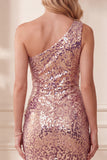 Vestido formal Midi Vintage de Sereia Malva com Lantejoulas de um ombro e penas