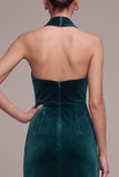 Vestido de veludo Maxi com capçaleira em forma de pavão