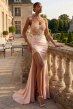 Vestido de Baile de Finalistas Longo em Espartilho com Aplicação de Champanhe e Vestido de Baile Longo