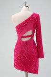 Sparkly Fuchsia Um ombro lantejoulas apertado curto Homecoming Dress com franja